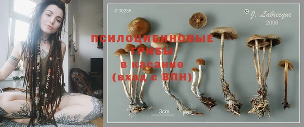 не бодяженный Абаза