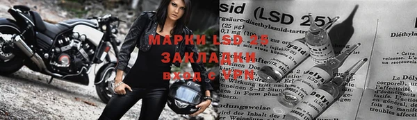 гашик Надым