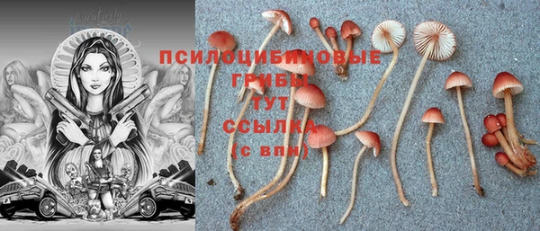 герыч Абдулино
