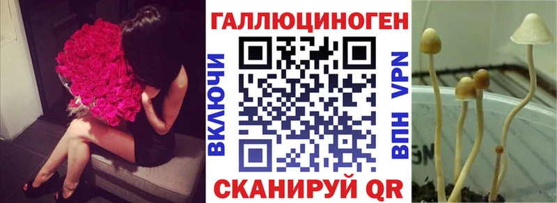 Псилоцибиновые грибы Psilocybe  Магнитогорск 